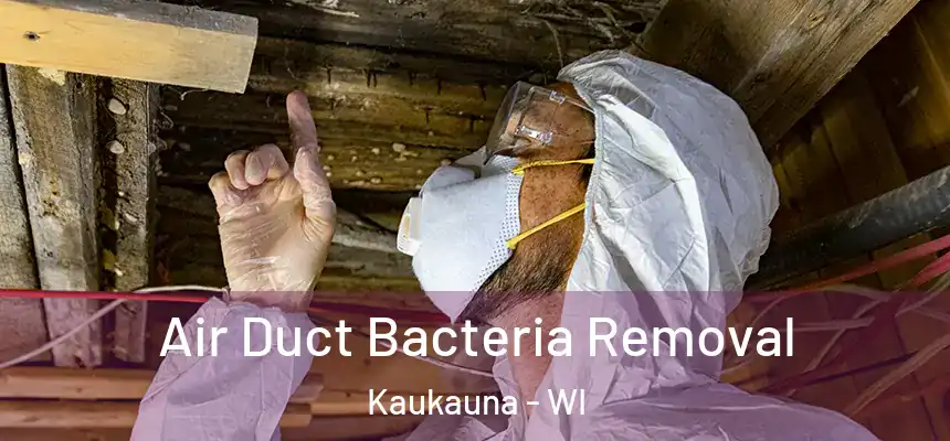  Air Duct Bacteria Removal Kaukauna - WI