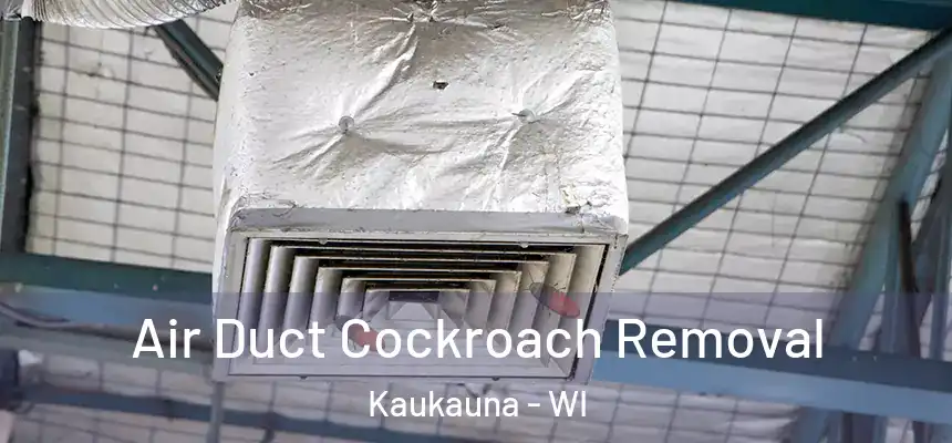  Air Duct Cockroach Removal Kaukauna - WI
