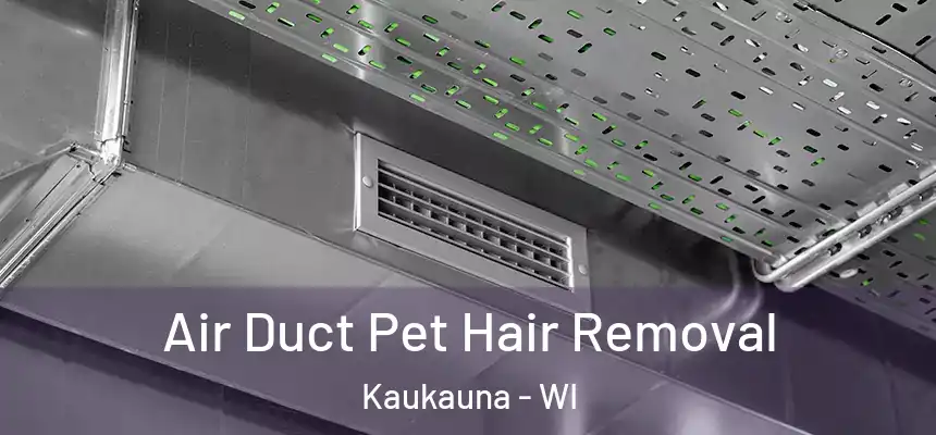  Air Duct Pet Hair Removal Kaukauna - WI