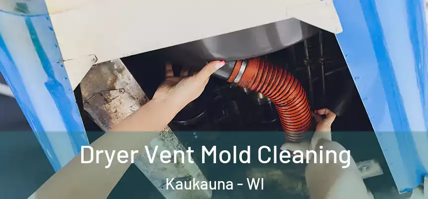  Dryer Vent Mold Cleaning Kaukauna - WI