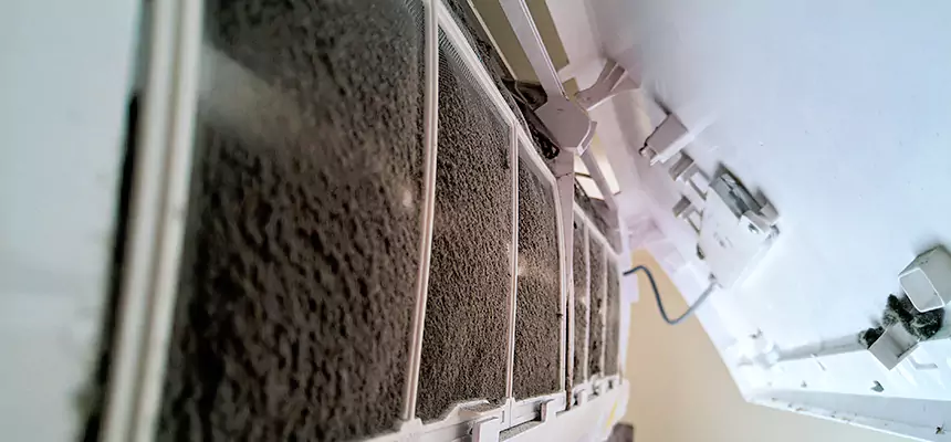 Preventive Air Duct Bacteria Removal in Kaukauna