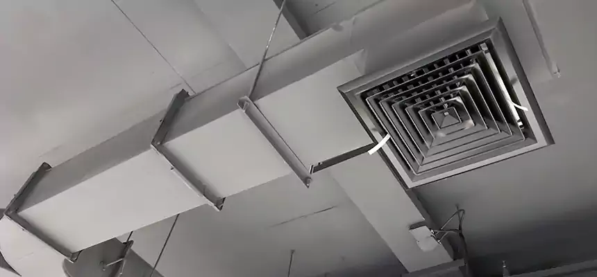 Restorative Allergy Relief Vent Cleaning – Coil, Blower & Housing Detail in Kaukauna