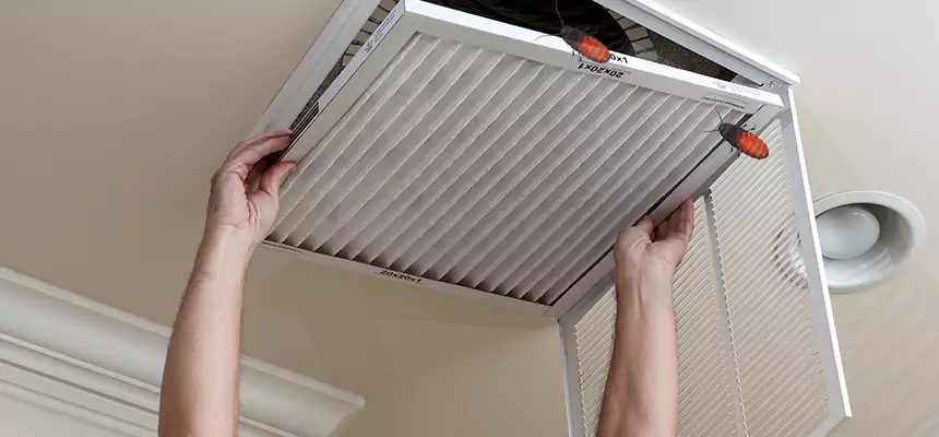 Our Insect Removal from Air Ducts Services in Kaukauna, WI