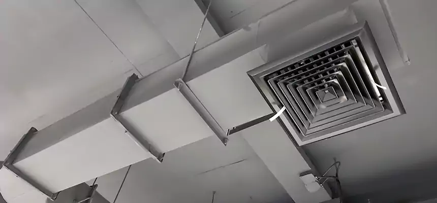 Our Pest Removal From Ducts Services in Kaukauna, WI