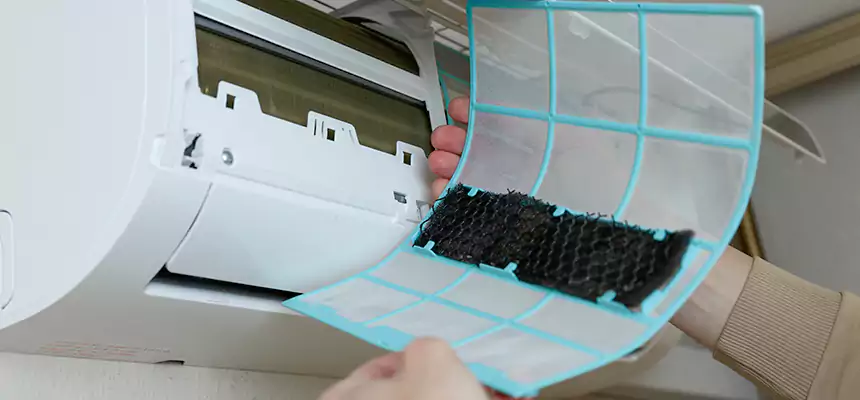 Gentle Ductwork Odor-Control Pet Dander Duct Cleaning in Kaukauna, WI