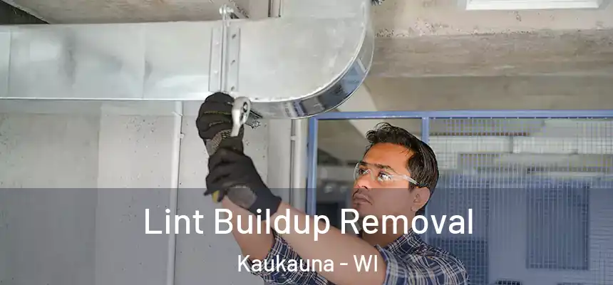  Lint Buildup Removal Kaukauna - WI