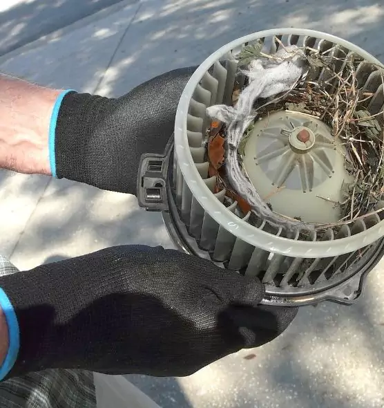 About Air Duct Mice Removal in Kaukauna, WI