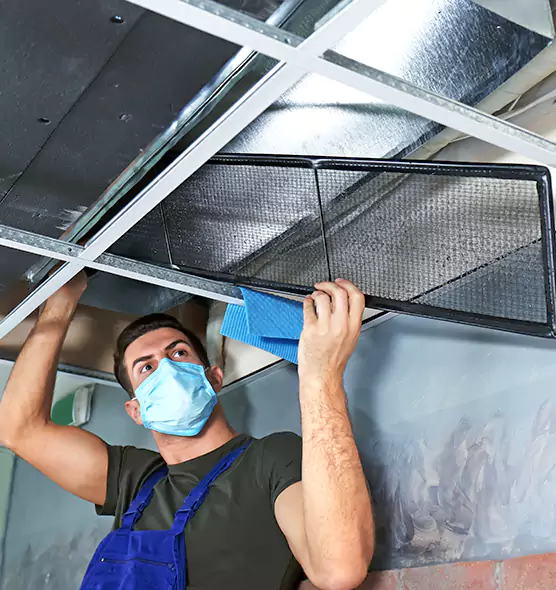 Professional Air Duct Pollen Cleaning in Kaukauna, WI