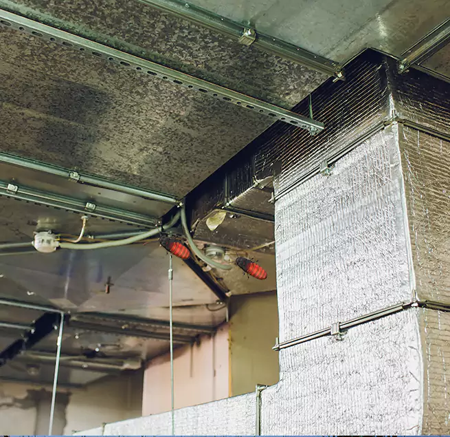 Why Homeowners & Businesses Trust Us in Kaukauna, WI?