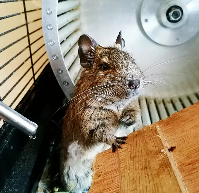 Why Homeowners & Businesses Trust Us Kaukauna, WI