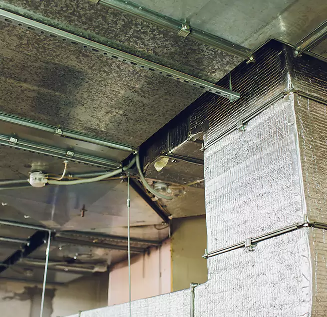 Why Homeowners & Businesses Trust Us in Kaukauna, WI?